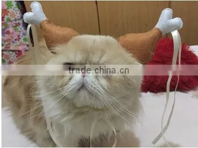 1940H New design cat hats wholesale fashion pet hats for cats