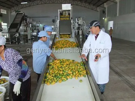 Small Capacity Apple Fruit Bar Making Machine for Vegetable Production