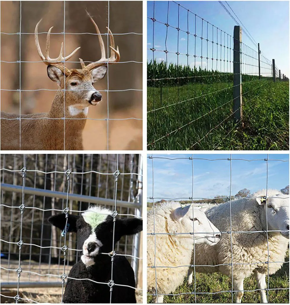 Yeson-1-2m-50m-Hot-Dipped-Galvanized-Cattle-Fence