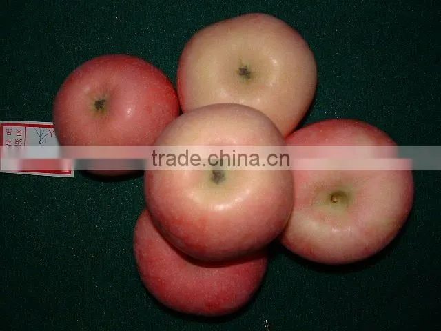 red Fuji apple