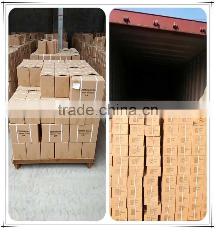 high qulaity low price stainless steelconcrete nail from concrete steell nail factory