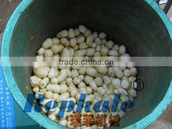 potato peeling machine