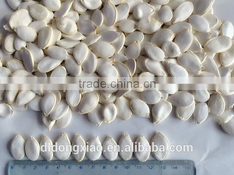 Hot Sell White Pumpkin Seeds, Online Market Sell Hybrid Pumpkin Seeds