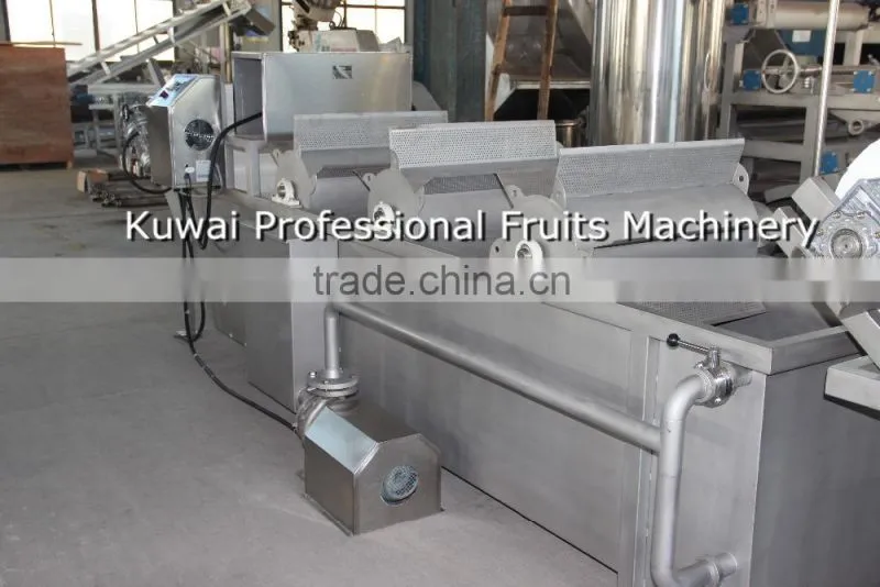 FXJ Model claw turning type herbs cleaner(Industrial vegetable washer)