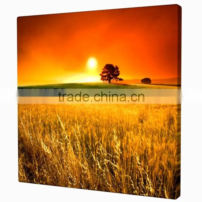 Inkjet Printed stretcherd canvas 3 panel