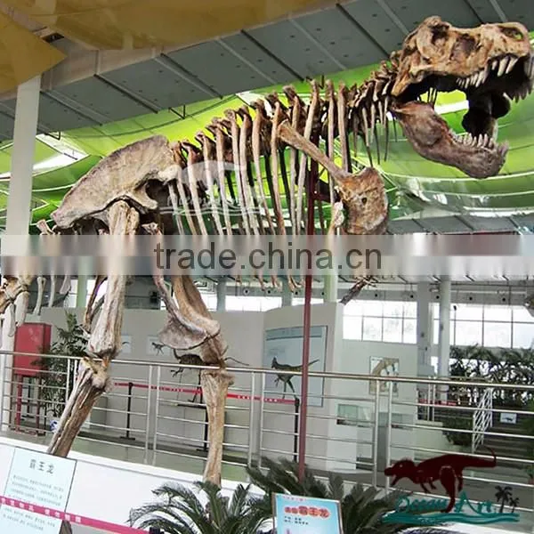 Life-Size Dinosaur Skeleton