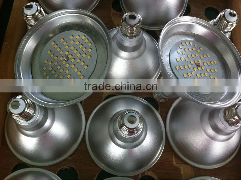 led PAR30 spot light