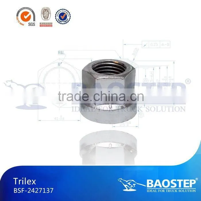BAOSTEP Highest Level Ts16949 Certified Set Nut