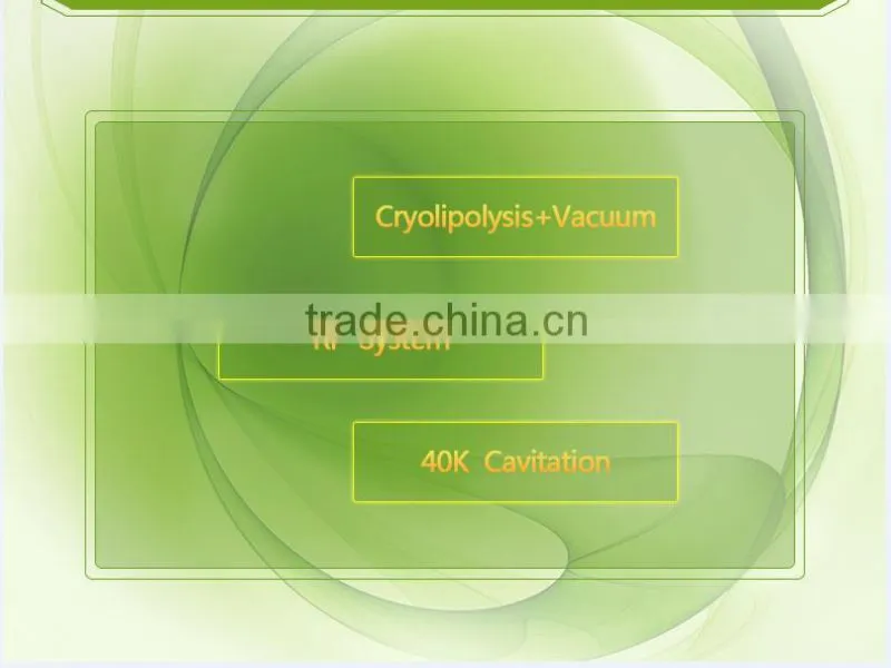 4 handles cryolipolysis machine