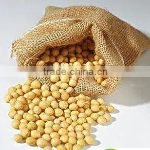 China Non-Gmo soya bean 2010