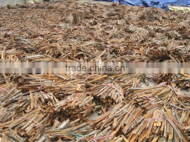 Vietnam cassia/Cinnamon 2015 thin,well drying