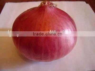Chinese New Crop Fresh Red Onion