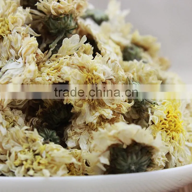 2015yr Huangshan Tribute Chrysanthemum
