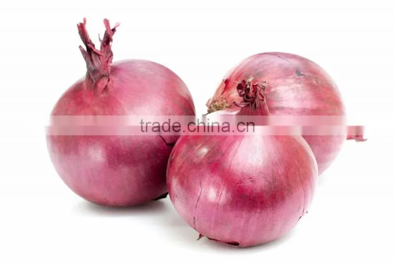 Fresh Onion 2016 Crop from Vietnam