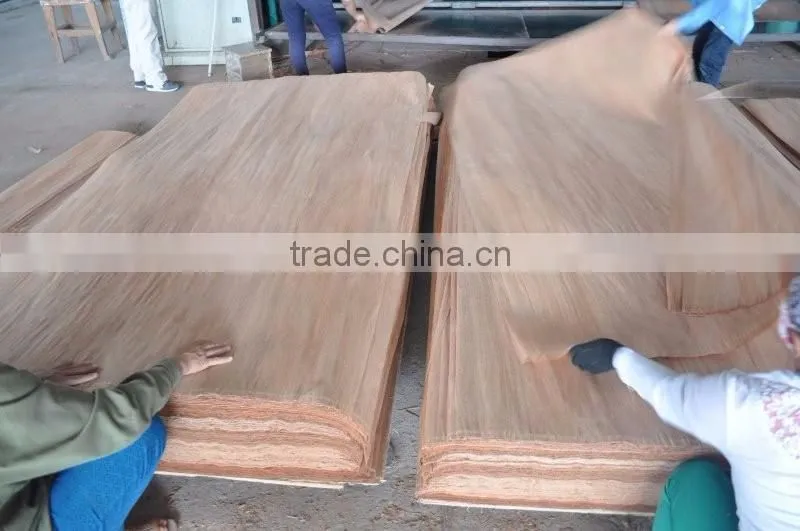 Keruing Face Veneer Rotary to India 100 % grade C 3mm thickness