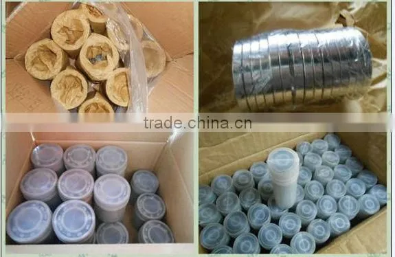 China Txind Factory Deep Groove Ball Bearing 6413