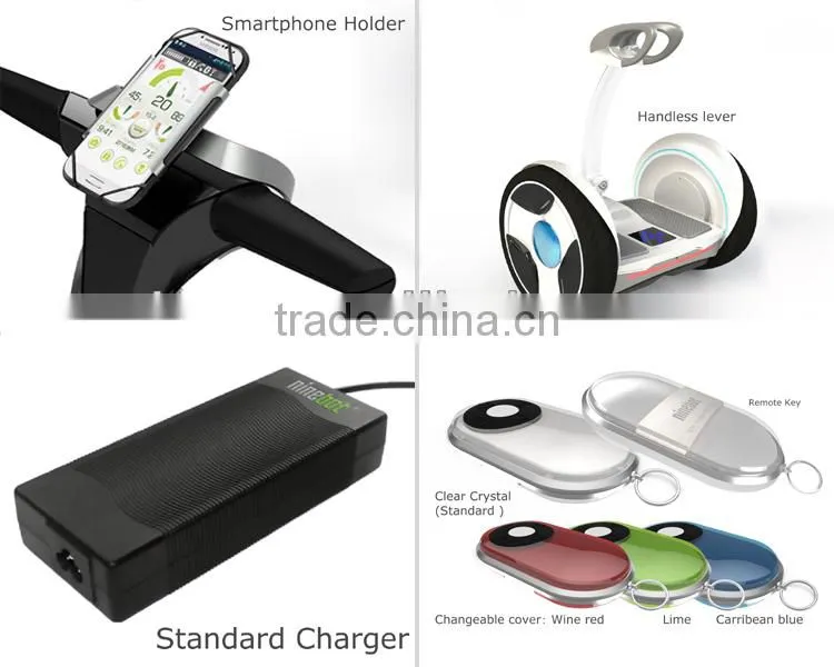 China electric chariot