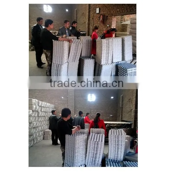 2015 Advanced processing egg box with lid making machine