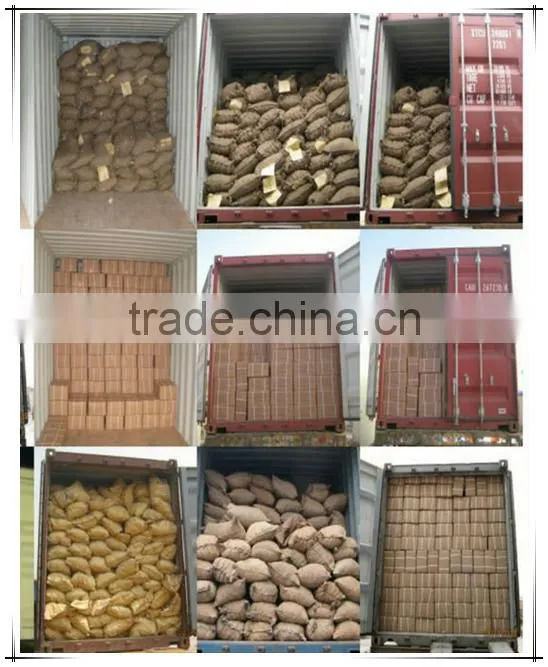 Common nails for construction usage iron nails