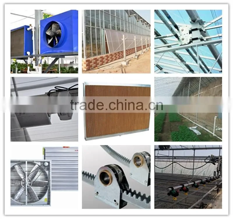 Factory Price Vegetables/Crops/Horticulture used poly carbonate sheet greenhouse