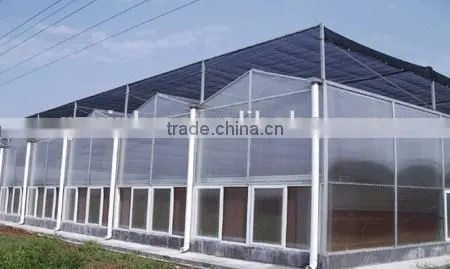 Stabilize greenhouse flowers cultivating steel structure
