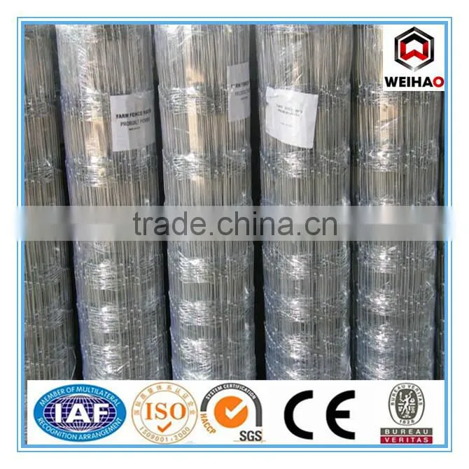 High Quality Galvanized Calf Cattle Fence