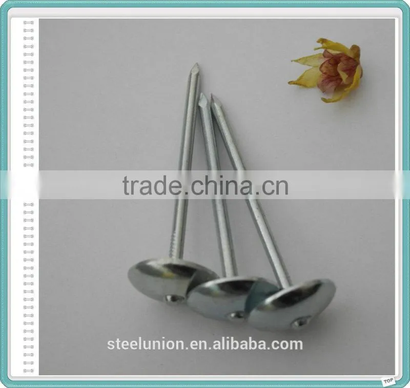 Umbrella Head Galvanized Roofing Nails with Rubber Washer
