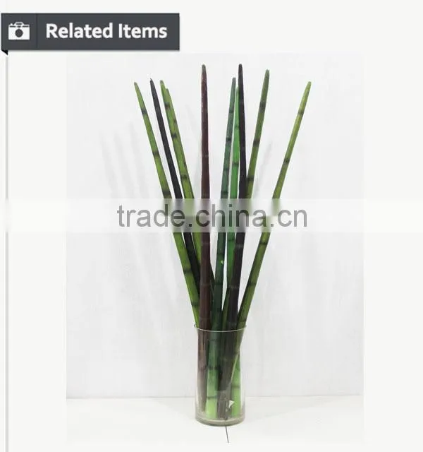 Manufacturing maguey garden decoration indoor decoration handmade plant for sale