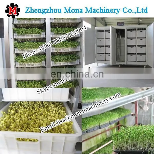 Prior market profession automatic bean sprout growing machine