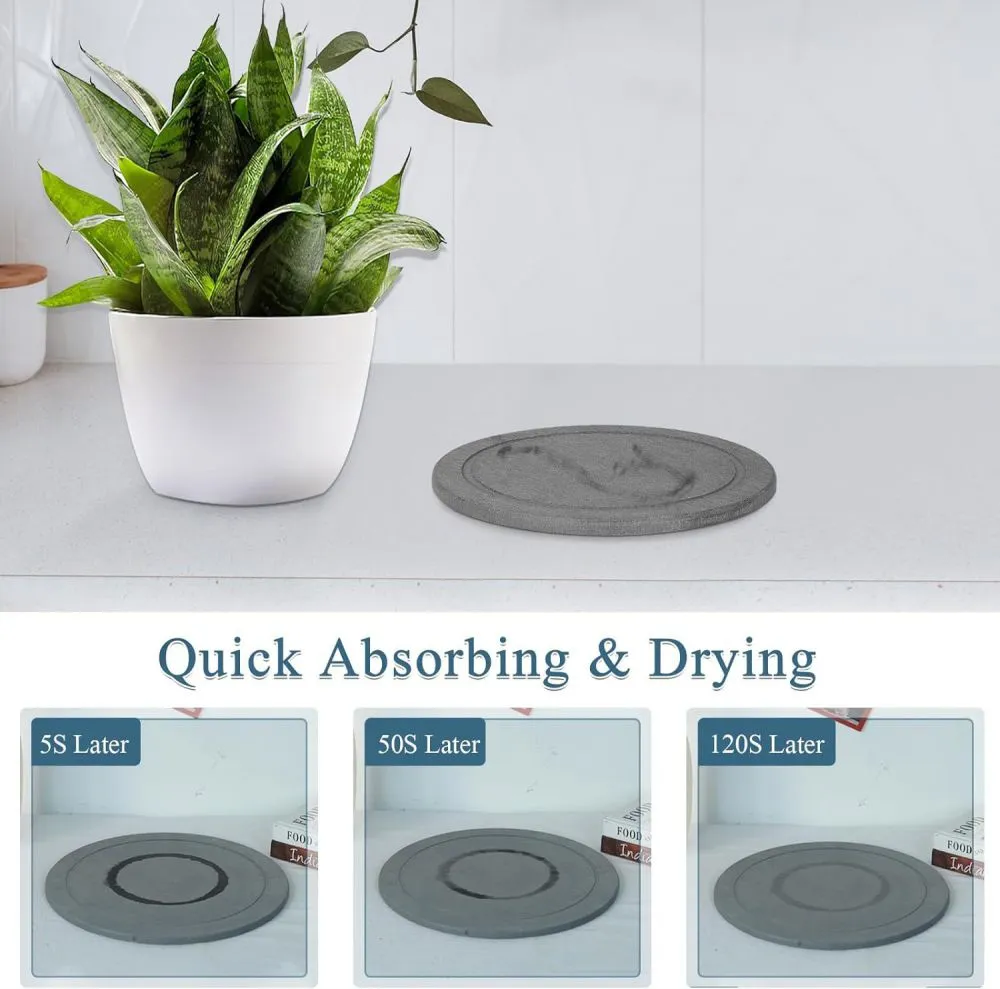 plant coasters product detail
