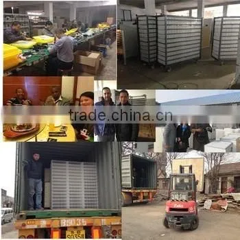 Solar power egg incubator/hatcher cheap poultry egg incubators prices AI-56S