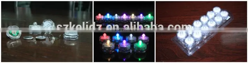 remote control copper silver wire LED Christmas string lights