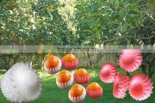 Plant Grafting Clip