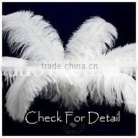 Drag Cabaret Showgirl Peagent Dance Angel Wing Headdress