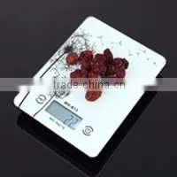 Household use LCD display vegetable food kitchen scale 5000g WH-B05