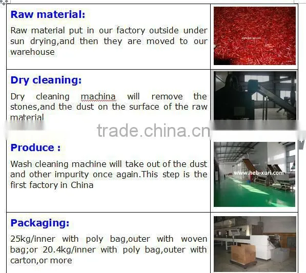 new crop high quality dry red chilli