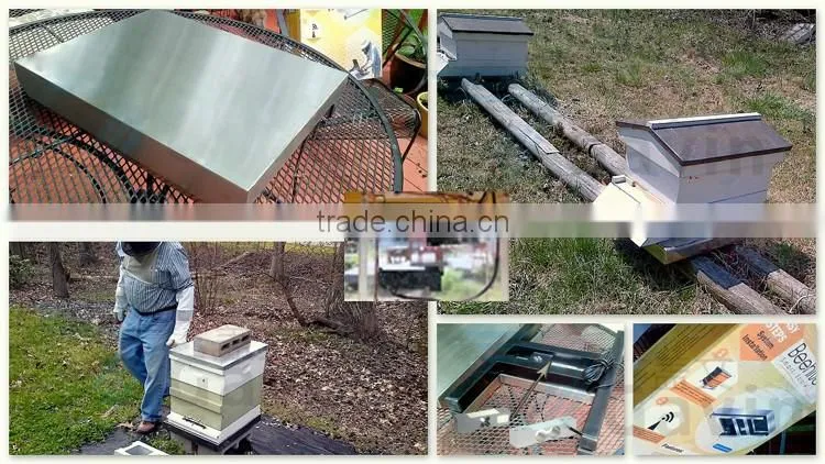 GPB100 Beehive SMS weighing scale load cell 100kg