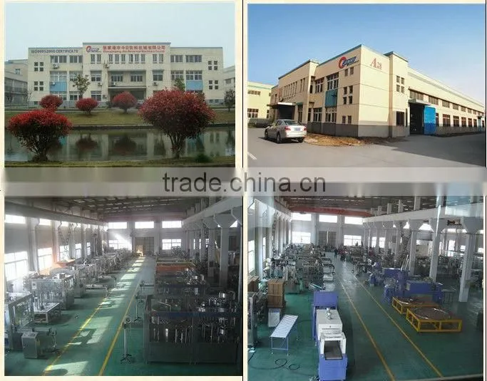 RCGF series tomato juice making machine