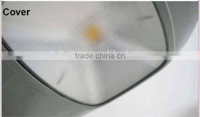 cornely 121 IP65 IP67 COB Garden Lighting Dimmable CE RoHS Bridgelux Street Light LED