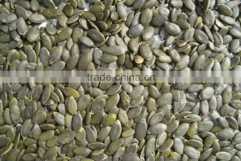 Competitive price~ 2015 new crop Shine Skin Pumpkin seeds,kernels