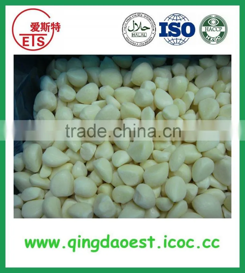 Jining white garlic in mesh bag or carton to Singapore