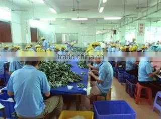 Shenzhen Zhenyan Toy Gift Co., Ltd. company overview - view 2