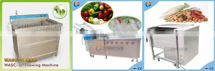 Automatic Small Size 220V Hotel Vegetable and Fruit Washing Machine with Good Price