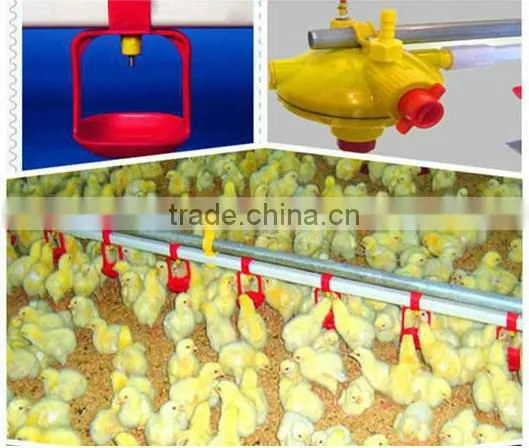Poultry Equipment Animal Drinker for Poultry Farm