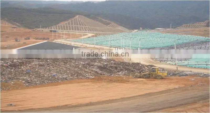 500KW/1MW New Energy Waste Biomass Power Plant/Biogas Generation Project