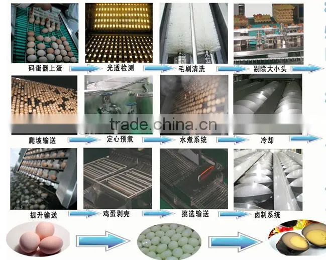 5000 eggs/h automatic egg peeler quail egg peeler egg peeler machine