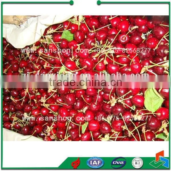 Advanced LSZ Model Fluidized Iqf Fruit and Vegetable, Food Quick Freezing Freezers