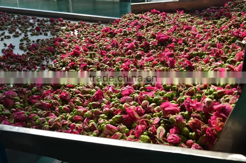 Mesh machine Type and New Condition Mesh Belt Dryer