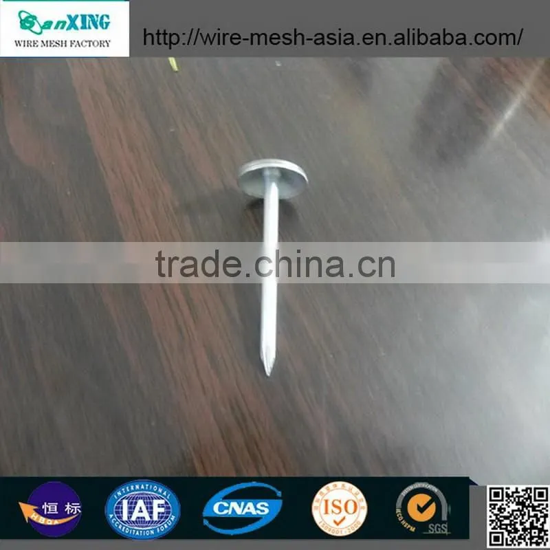 Sanxing common nail one of biggest manufacturer in Anping