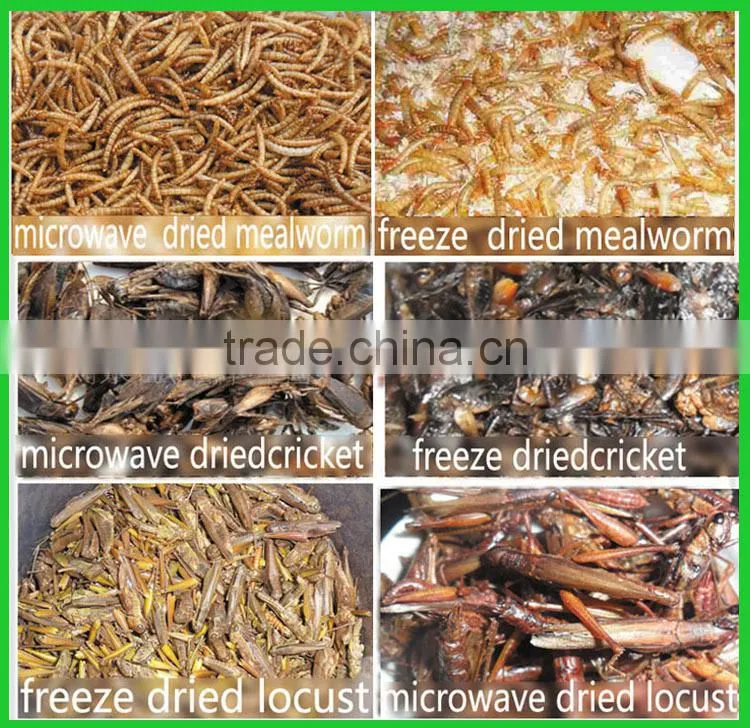 Dry dog food dry fish wholesale dog food